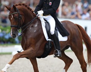 Nicolas Wagner on Quater Back Junior (by Quaterback x Bonheur)