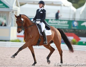Kim Gentry and Leonardo at the 2016 CDI Wellington :: Photo © Astrid Appels