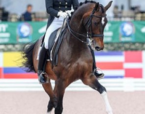 Ashley Holzer and Breaking Dawn at the 2016 CDIO Wellington :: Photo © Sue Stickle