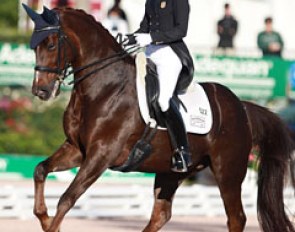 Arlene Page and Woodstock at the 2016 CDI Wellington :: Photo © Astrid Appels