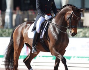 Steffen Peters on Rosamunde