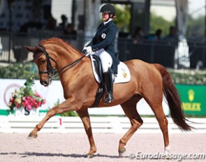 Diana Porsche and Eloy at the 2016 CDI Wellington :: Photo © Astrid Appels