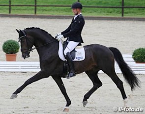 Marcus Hermes and Abegglen FH at the 2016 Werder Bundeschampionate qualifier :: Photo © LL-foto