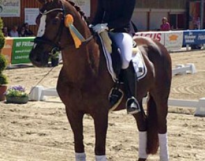 Carolin Brandt and Future Star win the Bundeschampionate qualifier at the 2016 CDN Wiesbaden-Erbesheim
