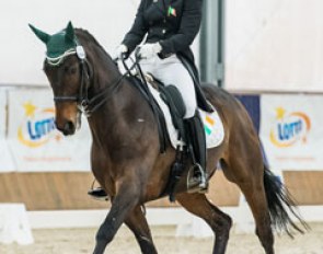 Alana Cazabon Sullivan on Zazou