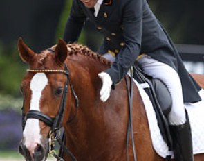 Castilla Ruiz pats Alcaide. They became Aachen's hero of 2017, generating thunderous applause for his piaffe superstar Lusitano. The chestnut is not very regular in the extended trot and passage, but boy does he get off the ground