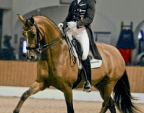Patrik Kittel and Wel Done de la Roche CMF at the 2017 CDN Ankum :: Photo © Lyndal Oatley