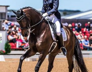 Mary Hanna and Boogie Woogie at the 2017 CDI Boneo :: Photo © Stephen Mowbray