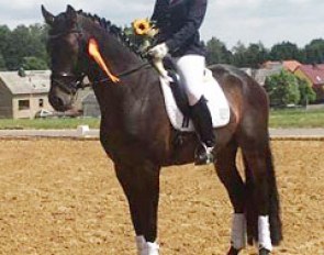 Pia Voigtländer and Renegade S at the 2017 CDN Burgstädt