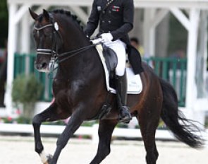 Marc Boblet on the Hanoverian licensing champion Soliman de Hus (by Sandro Hit x Donnerhall)