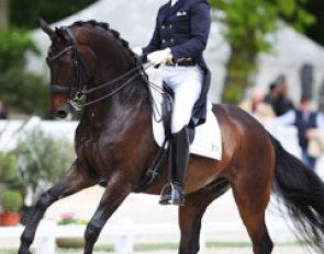 Finnish Henri Ruoste on another talented Grand Prix horse, Danish warmblood Huracan (by Hotline)
