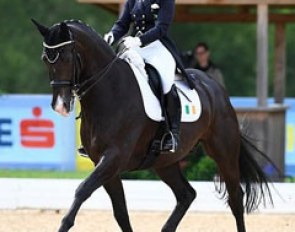 Judy Reynolds and Vancouver K at the 2017 CDI Fritzens :: Photo © Alessandra Sarti