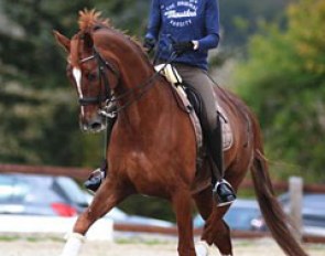 Kristina Böckmann training Der Kleine Lord