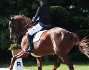Magdalena Danninger on Daria Marchenko's Queeny