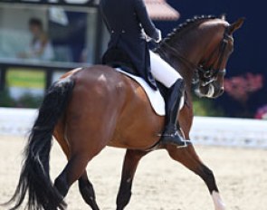 Annelotte Felix on Amos