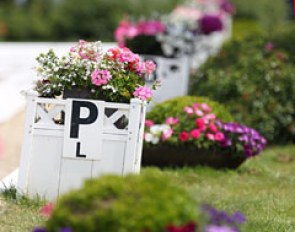 Beautiful spring flowers at the Hagen main dressage arena
