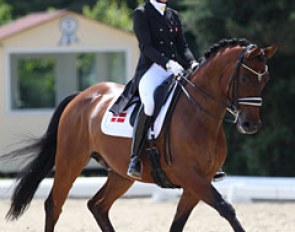 Amanda Overgaard on Sky Newz Horsebo