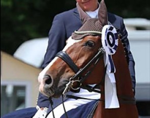 Emile Faurie and Lollipop won the Grand Prix and Special at the CDI Hamburg