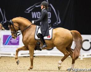 Cathrine Dufour and Atterupgaards Cassidy at the 2017 CDI-W Herning :: Photo © Digishots