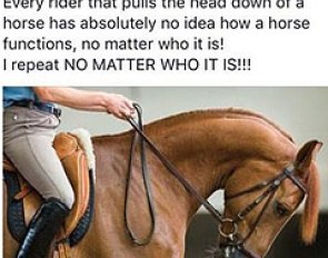 Dutch Olympic silver medal winning show jumping Albert Voorn speaks out against LDR/rollkur/hyperflexion