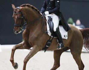 French François Jacq on the Danish warmblood Gorklintgaards Romaro (by Romanov x Don Schufro)