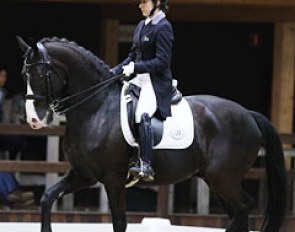 South African Nicole Smith on the Dutch bred Wyvern (by Rhodium x Juventus). The horse reared at the beginning of the ride so the submission score plummeted