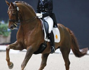 Finland's Anna von Wendt and Denzel have been training the past 6 weeks with Jonny Hilberath in Germany. 