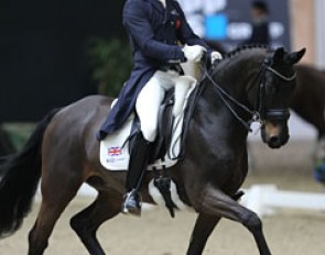 Daniel Watson on Amadeus (by Olivi x Sandro Hit)