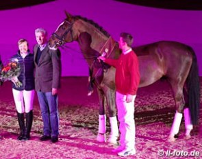 Don Diamond proclaimed elite stallion at the 2017 South German Stallion Licensing :: Photo © LL-foto