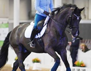 Nadine Capellmann training her new ride Look at Me