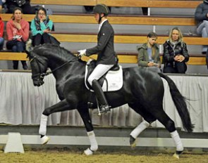 Lukas Fischer on Dressage Performance Centre Lodbergen's 3-year old Finest Selection :: Photo © Equitaris