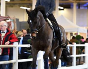 Fabienne Lutkemeier schooling Fats Domino