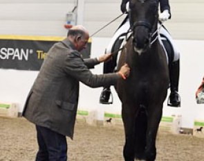 German co-team trainer Jonny Hilberath assisting Dorothee Schneider on Sammy Davis Jr