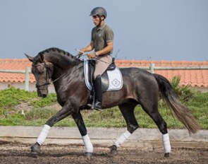 Sebastiao Gonzaga on Iranico JGR :: Photo © Rita Fernandes