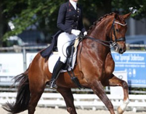 Linda Verwaal on Jakari (by Jazz Rubin x Florestan). This sensitive chestnut has more features from Jazz than Rubinstein