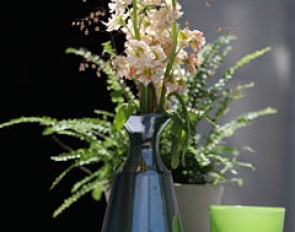 Beautiful flower decorations in the vip and business areas round the main arena. Rotterdam is an ace in attracting corporations to hold business meetings and networking get-togethers during all competition days