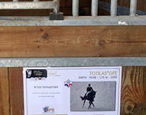 So Totilas was not supposed to come to the stallion show in Saint-Lô, France?! His stall there was ready though.