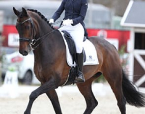 Russian Anna Guseynova has made the transition from Children's division to junior riders. She bought Delano (by Jazz x Caretino) three years ago and is now competing him at Junior level.
