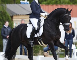 Dutch Joyce Lenaerts on Hero; one of only two combinations in the 5-year old preliminary test