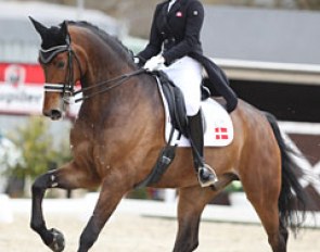 A reward for bravery and sportsmanship goes to Danish Ann Sofie Nilausen whose Elverhojs Sakharov gave its rider a very tough time, spooking all over the arena. Ann Sofie persisted and finished the ride with dignity.