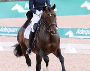 Katie Poag and Zonnekoning in the Grand Prix at the 2017 CDI Tryon :: Photo © Sue Stickle