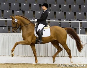 Anja Engelbart and Furst Jazz at the 2017 Hanoverian Stallion Approval in Verden :: Photo © Christina Beuke
