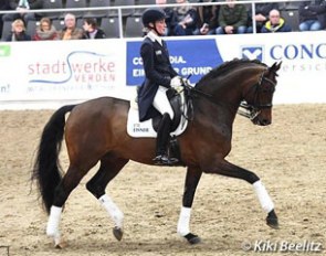Helen Langehanenberg and Sarotti Mocca Sahne at the Hanoverian Stallion Show on 28 January 2017 :: Photo © Kiki Beelitz