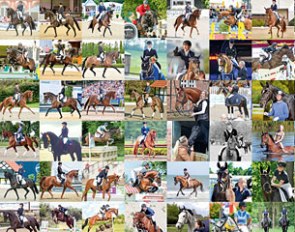 The Verden Auction system offers over 60 years a huge range for different demands
