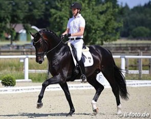 Danish Andreas Helgstrand on the Luxembourg owned PSI auction million euro horse Ferrari selected to represent Germany in Ermelo :: Photo © LL-foto
