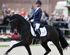 Governor at the 2017 World Young Horse Championships :: Photo © Astrid Appels