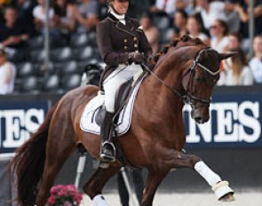 Belgian Larissa Pauluis on First Step Valentin (by Vitalis x Fidermark) finished 8th with a strong 8.78 points
