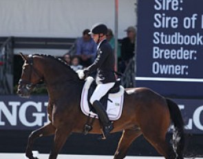 Sascha Schulz and Quizmaster (by Quasar de Charry x Velthen Third). The Hanoverian is still very green and lacked balance and self carriage. The rider constantly tapped with his ankles to drive him forwards