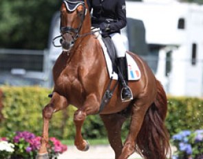 French Lena Thouvenin on the Oldenburg bred Diamondgio (by Diamo Gold x Pik Noir)