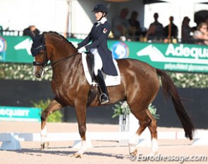 Brittany Fraser-Beaulieu on All In at the 2017 CDI Wellington :: Photo © Astrid Appels